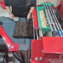 호반농장 | 농번기 모종 생산 과정, 춘천에 위치한 국내 최대 규모 호반 육묘장