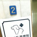 다대동물병원 이미지