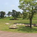 새동촌식당 이미지