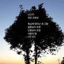 난산리 티스토리