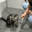 수경카튜닝 | 8-2월: 이제 추석만 기다리면 되죠?