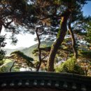 호계천변 이미지