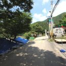 느티나무 그늘아래 평상 이미지