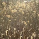 덕진공원 관리사무소 이미지