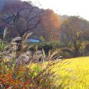 옥봉수산 이미지