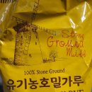 고추 부침개 이미지