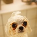 개운하개 이미지