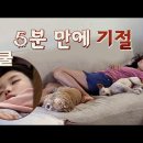 카유리