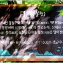 순천-25호 네이버블로그