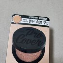 텐 프로 | 텐제로 프로 커버 잇 실크 스킨 쿠션 후기.