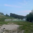 서울자동차 | [파주 자유로자동차극장] 서울 근교 자동차극장 추천 &amp; 후기