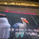 효원월드타워 앞 | 롯데시네마 잠실 월드타워 내돈내산 소파관 넘버원 무대인사 후기 🎬💛