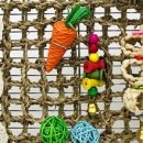 모니아(MONIA) 이미지