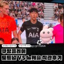 뉴캐슬마트 | 요모조모] 캡틴 손흥민 토트넘 고별전 쿠팡플레이 토트넘 VS 뉴캐슬 상암 직관 후기 (2등석 E-M 구역 시야)