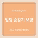 석정빌딩 | 빌딩 승강기 보양 + 동선 보양 _ 서초구 반포대로 석정빌딩 승강기 보양 후기