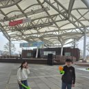 충주박물관 | 충주여행#11. 택견의 도시 충주세계무술박물관 후기_탄금공원 산책 국내여행지 추천