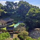 묘안옹달샘 이미지