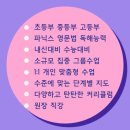 리트영어교습소 - 관악구 문성로 95 | 리트영어교습소