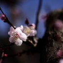 경주시립노인전문요양병원 이미지