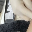 강동이용원