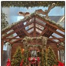 스타벅스 대구계산점 앞 이미지