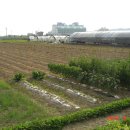 옥산2농장 이미지