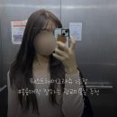 슈헤어 - 달서구 | 광교/용인/죽전/수원 볼륨매직 잘하는 미용실 추천, 웨스트헤어그라슈 2호점 후기