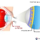 두레약국 이미지