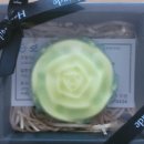 회와 멍게 친구들 이미지