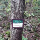 설악산오색마을 이미지