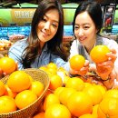 플러스신선식품 이미지