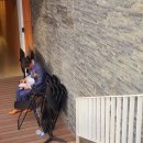 2023 생활문화페스타 in 양평 이미지