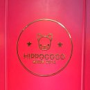 히포코코 | 춘천 애견카페 히포코코 후기｜강아지랑 놀기 좋은 곳