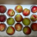 롯데리아 문성점 이미지