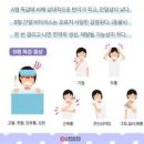 B형 독감 증상 치료 타미플루 복용 이미지