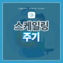 파리바게뜨 평택용죽점 | 스케일링 주기, 왜 중요할까요?