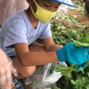 호수농원 이미지