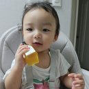 아기용참기름 추천 정담방앗간 아기참기름