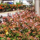 수성구민운동장 이미지