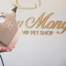 남양주 애견샵 이미지