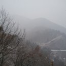 장원초교 Daum카페