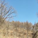 하나로마트(성당) 이미지