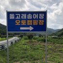 돌고래 오토 캠핑장 이미지