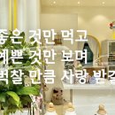 푸드포퍼피 이미지