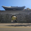 GS25효자행복 | [서울] 서촌 은행나무 명소 경복궁 돌담길 ㅣ효자로 가을단풍길 ㅣ영카이브 서촌점 후기