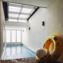 프랜치캣펜션 이미지