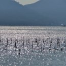 새남식당 이미지