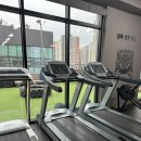 파주권투체육관 이미지