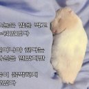 영등포공고 | 모아뒀던 나~의 6상