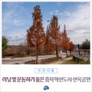 선옥공원 이미지